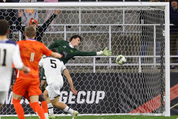 的完美结合 的完美结合