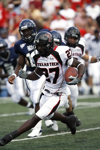 年的体育单 年的体育单