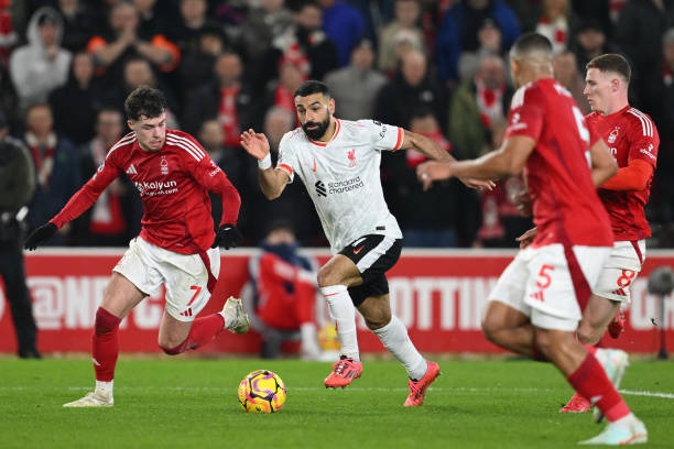 初期所展现 初期所展现